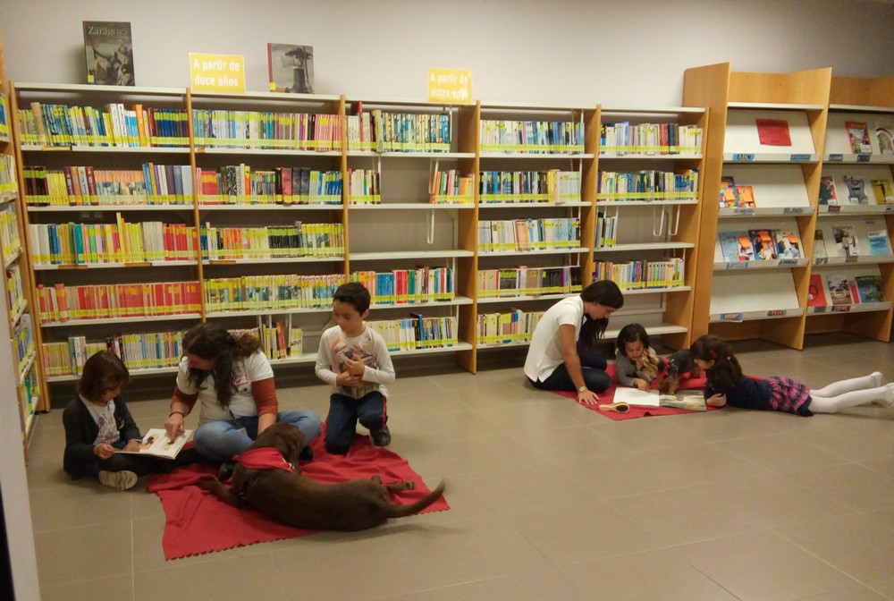 Potes i llibres en Biblioteca Municipal Sant Joan