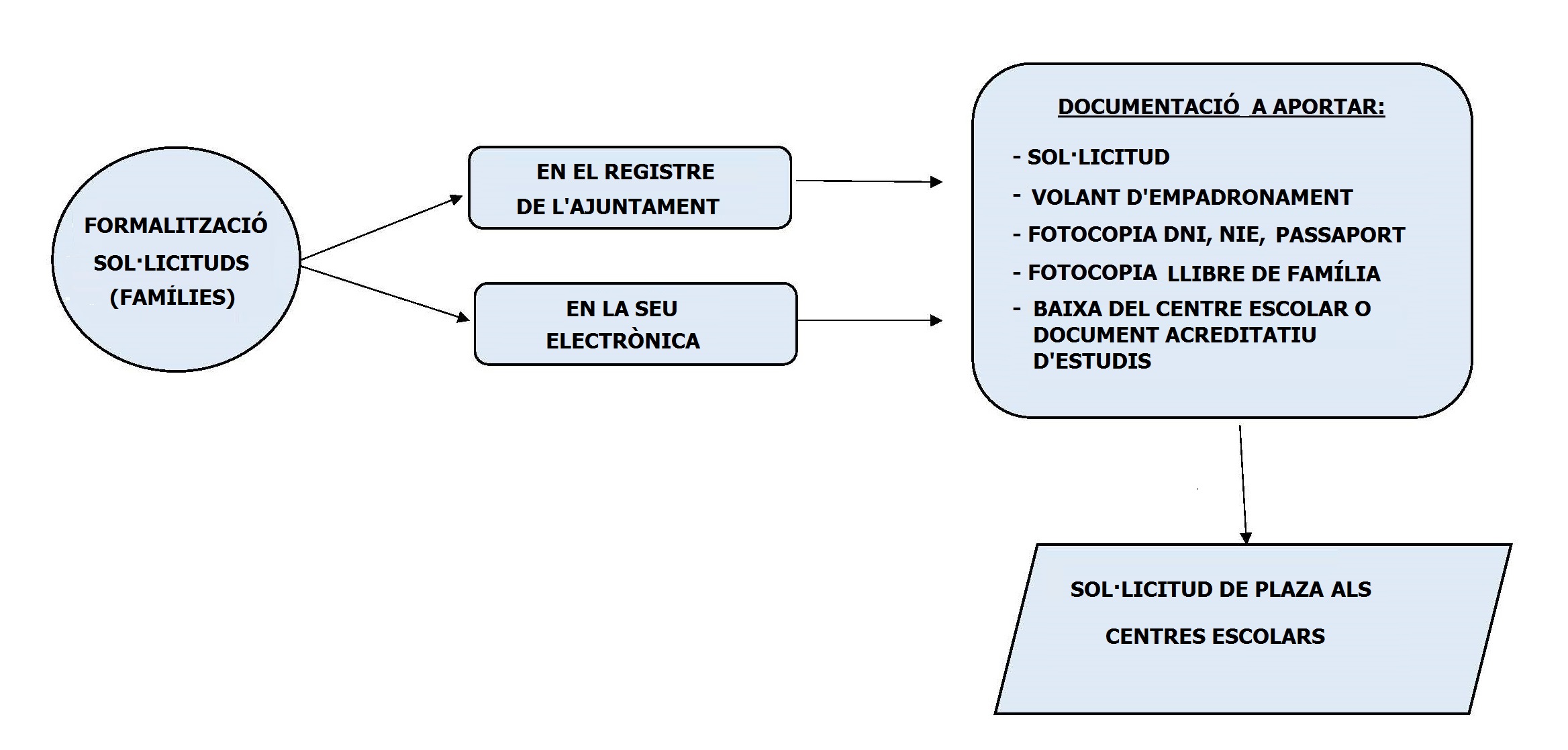 ORGANIGRAMA DEL PROCEDIMENT