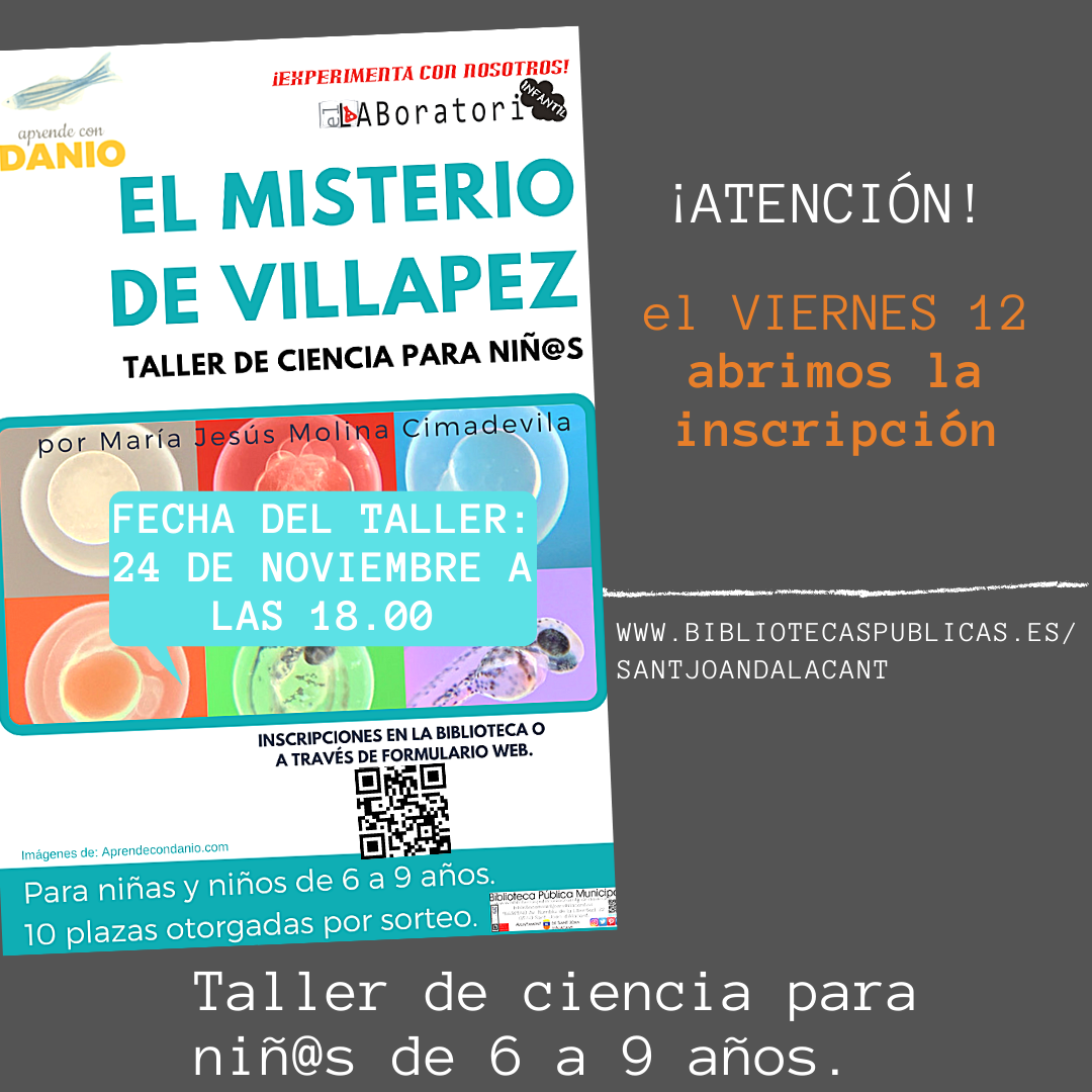 cartel taller