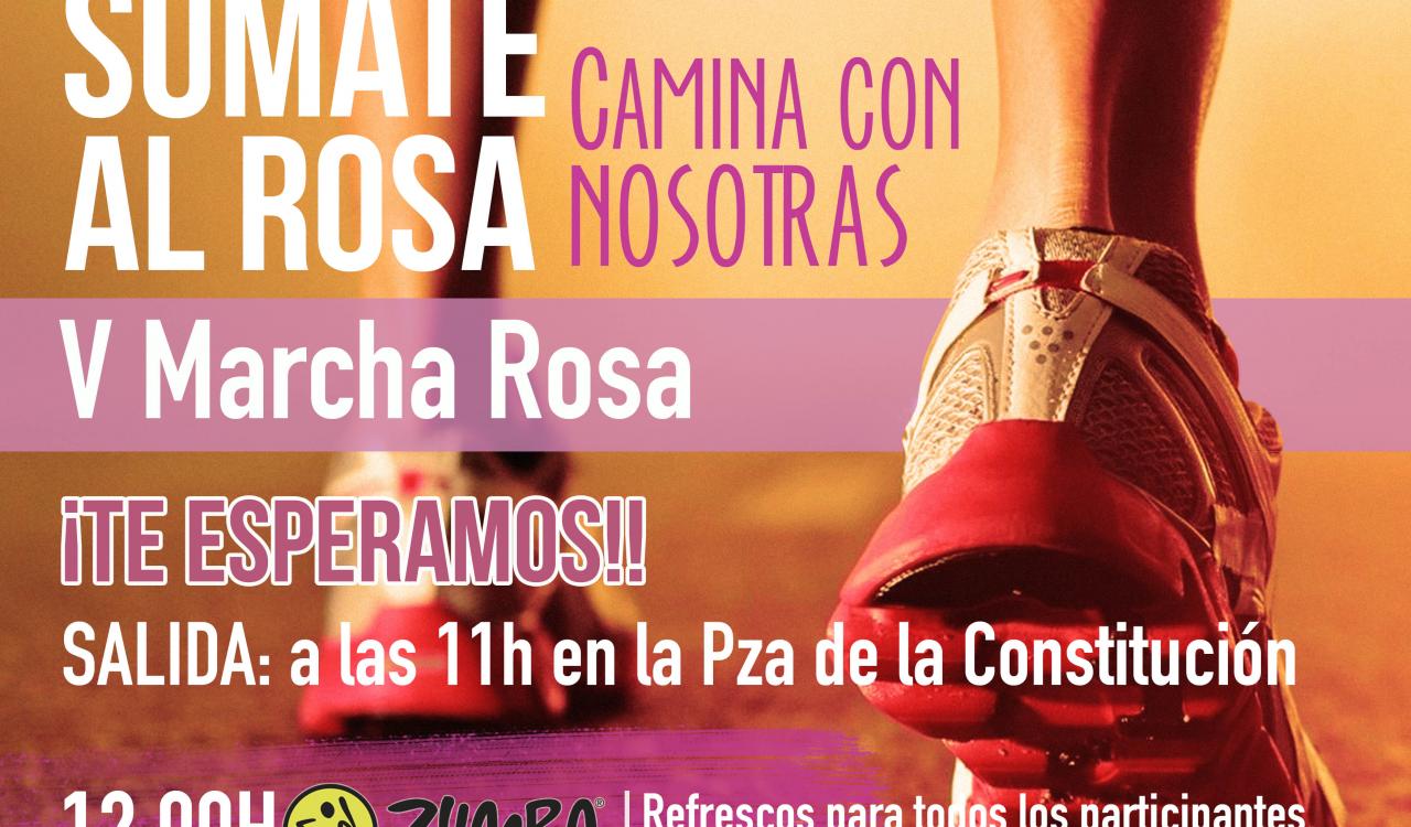 Cartel de la V Marcha Rosa 2017