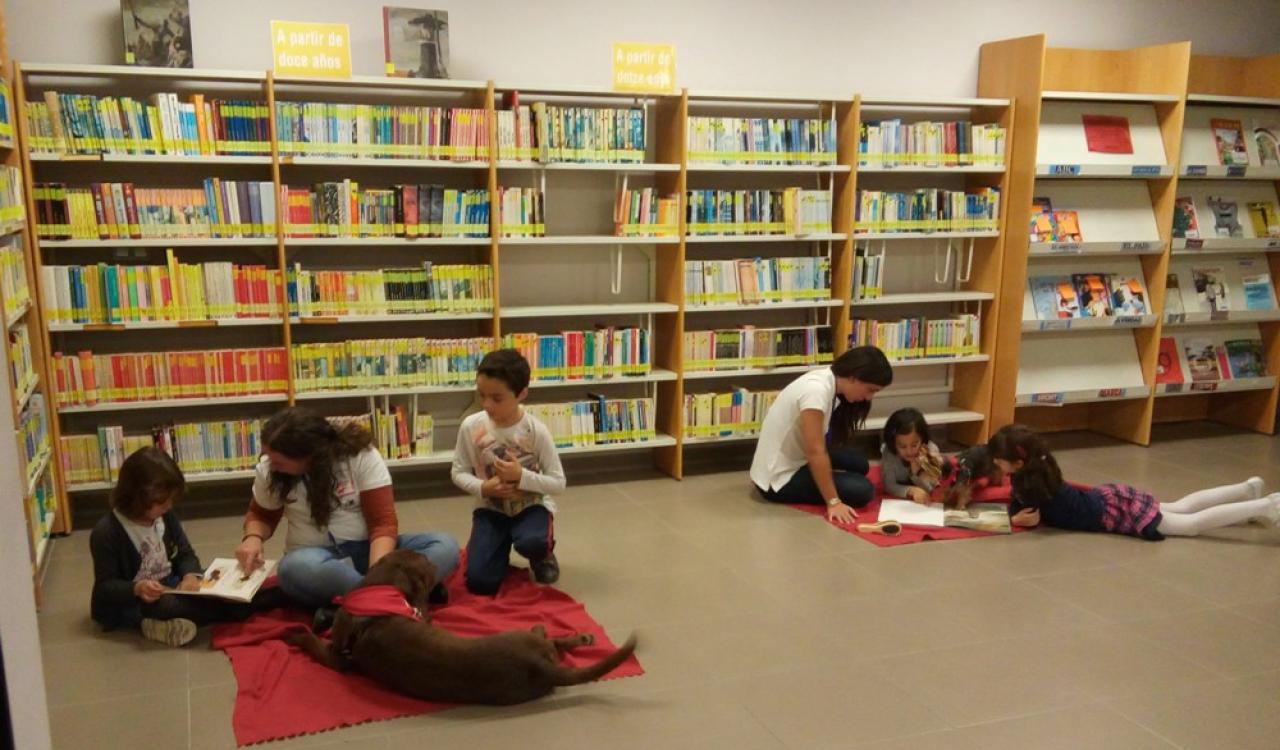 Potes i llibres en Biblioteca Municipal Sant Joan