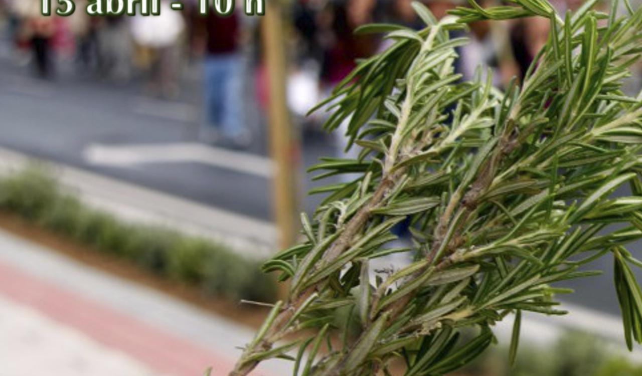 Cartel Romería Cívica Santa Faz 2018