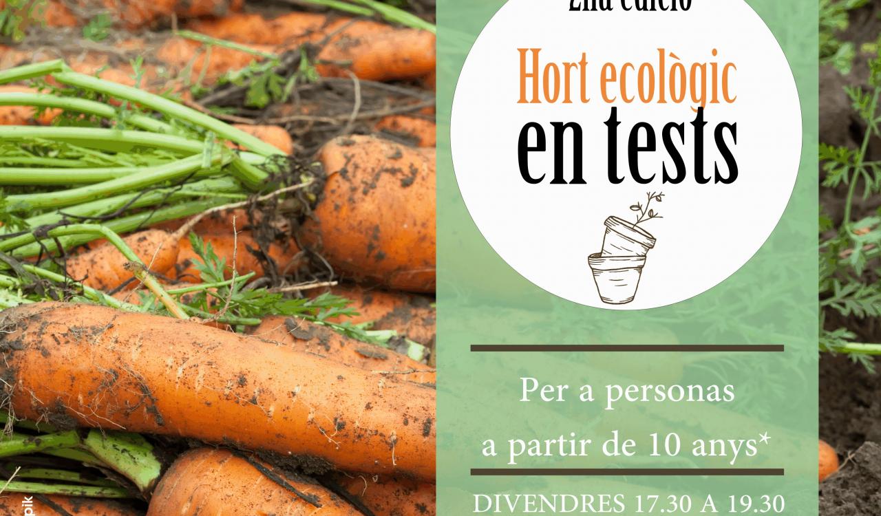 Cartel Taller Hort ecològic en tests