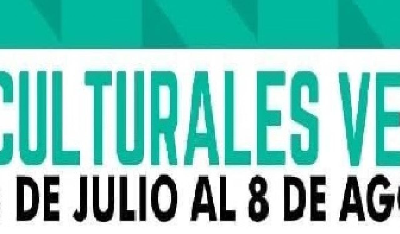 TALLERES CULTURALES 2020